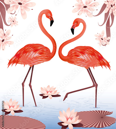 Fototapeta na wymiar Flamingos