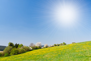 Poster - grassland in the springtime