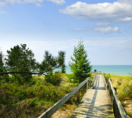 Wall Mural - Wooden walkway over dunes at beach