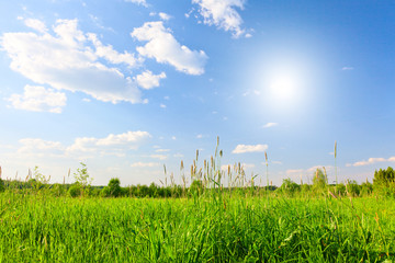 Wall Mural - Green hill under blue sky