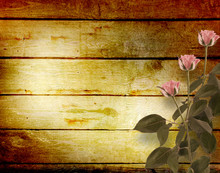 Weathered Wooden Planks With Pink Beautiful Roses