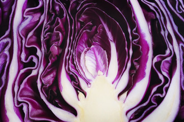 Wall Mural - close up purple cabbage