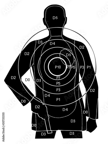 Obraz w ramie The professional target for shooting