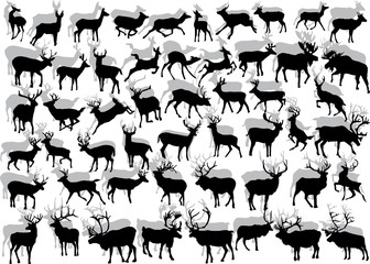 Canvas Print - huge collection of deer silhouettes