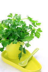 Poster - Italian parsley