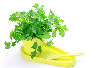 Canvas Print - Italian parsley