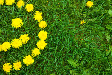 Meadow with smiley face