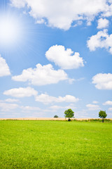 Poster - agriculture landscape