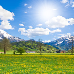 Poster - alpine landscape