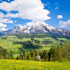 Poster - alpine landscape