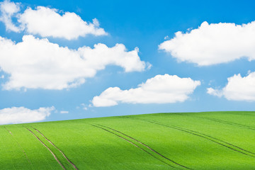 Poster - green field