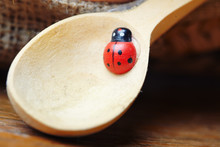 Ladybird On Spoon