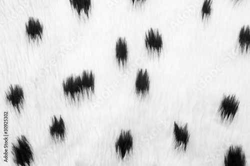 Black And White Furry Animal Print Fabric Wall Mural Wallpaper