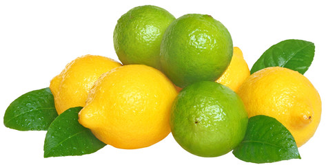 Poster - Limes and lemons.