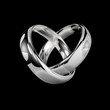 Heart made by platinum shiny wedding rings