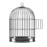 Fototapeta  - 3d Silver bird cage with open door
