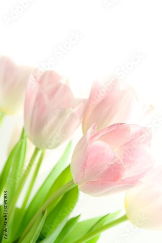 Dekoracja na wymiar  blado-rozowe-tulipany