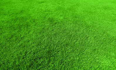 Sticker - Green grass background