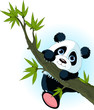 Giant panda climbing tree 