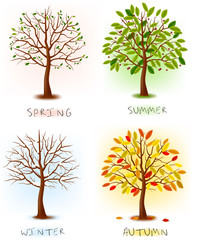 Poster - Four seasons. Art tree beautiful for your design. Vector