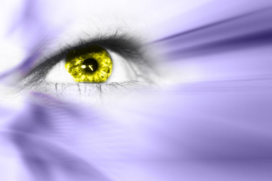 Zukunftsvision