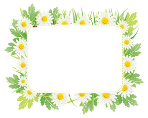 Wall Mural - daisy card