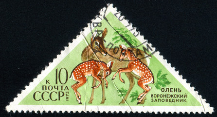 postage stamp