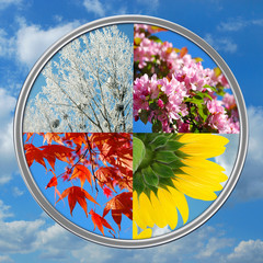 Wall Mural - four seasons of the year on sky background