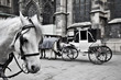 Carriage in Vienna
