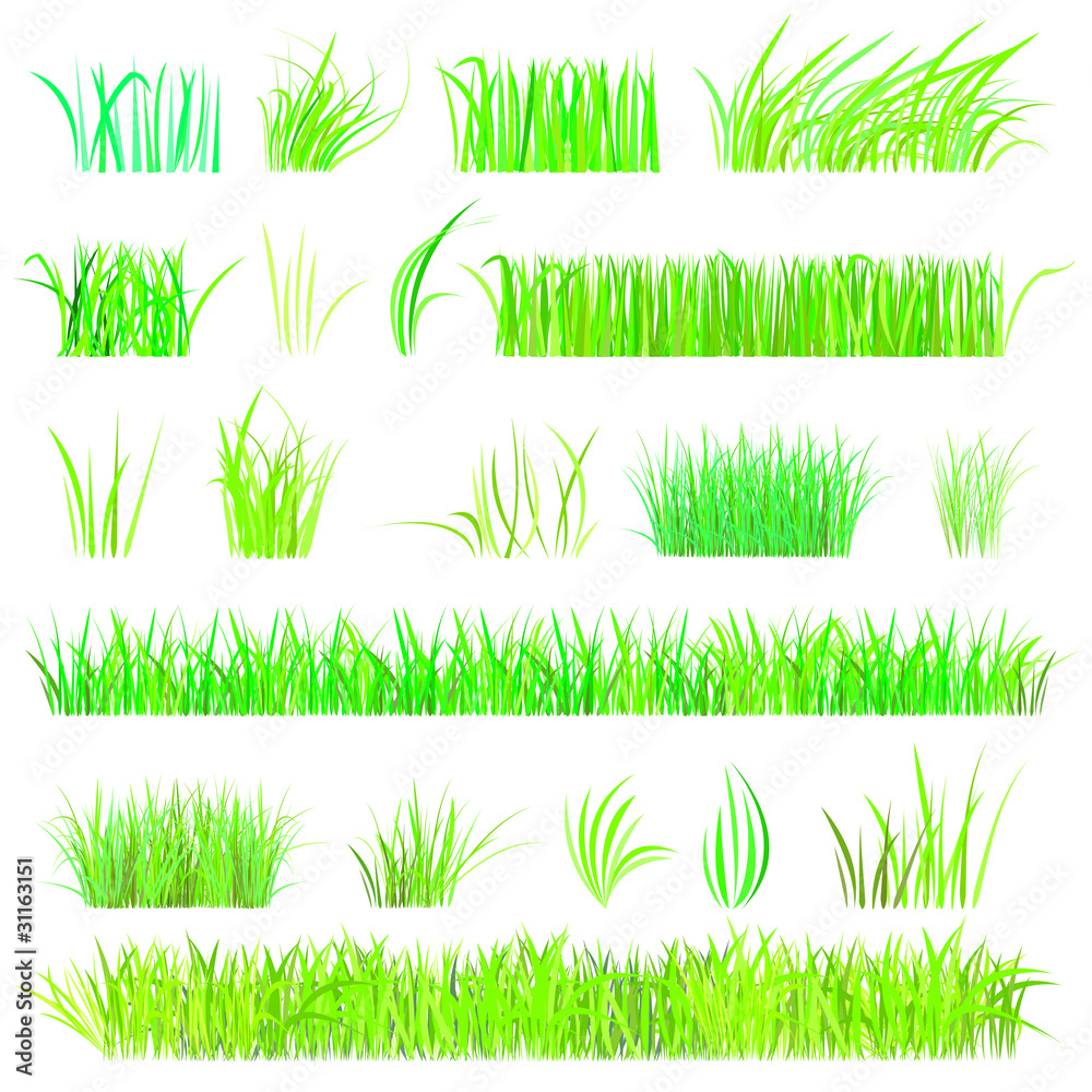 set - gräser - obrazy, fototapety, plakaty 
