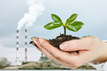 human hands care about green plant over industrial background