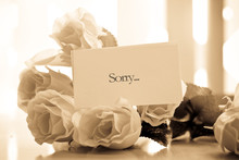 The Apology Note