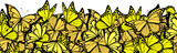 Fototapeta  - butterflies border