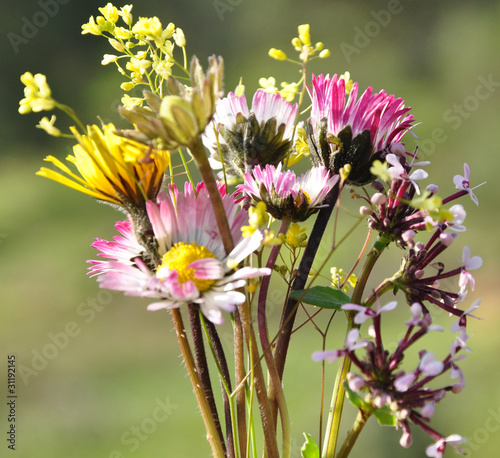 Bouquet De Fleurs Sauvages Buy This Stock Photo And
