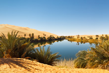 Umm Al-Ma Lake - Desert Oasis, Sahara, Libya