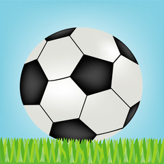 Soccer ball on green herb