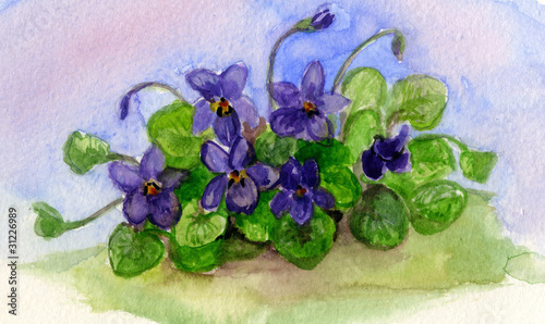 Naklejka - mata magnetyczna na lodówkę Illustration of English Sweet Violets