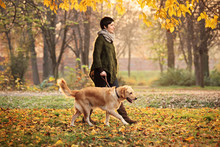 A Girl And Her Dog Walking In A Park In Autumn