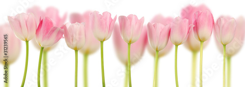 rozowi-tulipany-kolaz-wiosna-kwiaty
