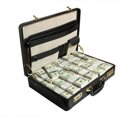 case full of dollar on white background