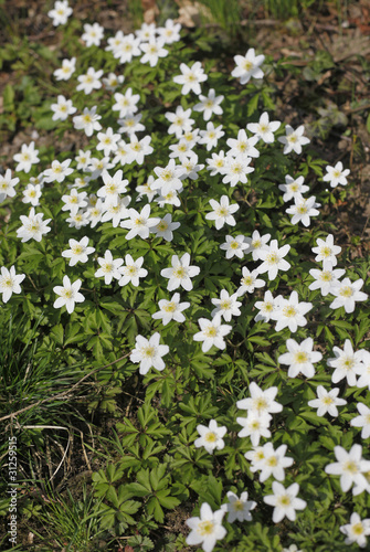 Respirer Poster Mural XXL