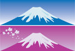 Mount Fuji in winter and spring