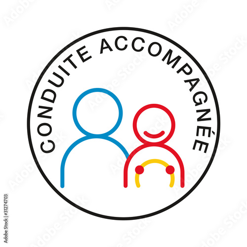 Conduite Accompagnee Voiture Permis Conduire Stock Vector Adobe Stock