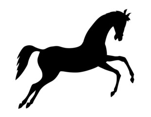 Wall Mural - silhouette on white background