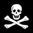 jolly roger (pirate flag)