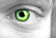 Mans green eye closeup