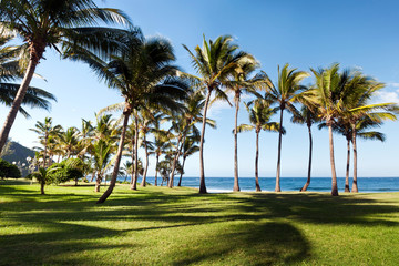 Poster - Plage de Grande-Anse - Ile de La Réunion