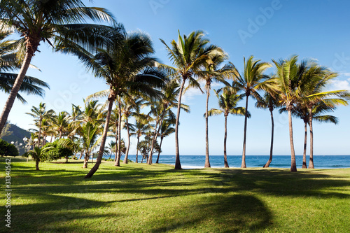 Plage De Grande Anse Ile De La Reunion Stock Photo Adobe Stock