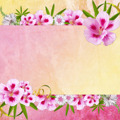 Wall Mural - Background for congratulation  card