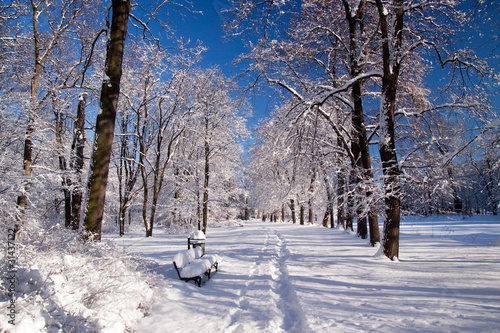snowy-warsaw-park